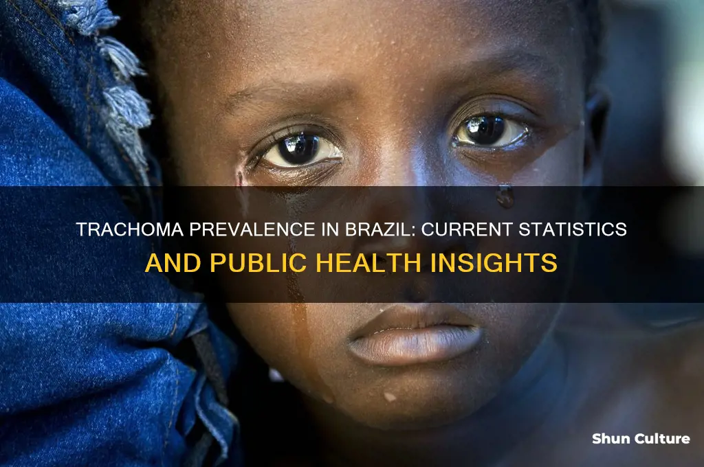 how much trachoma is there in brazil