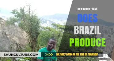 Brazil's Waste Crisis: Unveiling the Nation's Trash Production and Impact