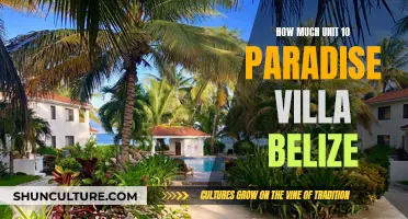 Belize's Paradise Villa: A Luxurious Escape with a Price Tag to Match