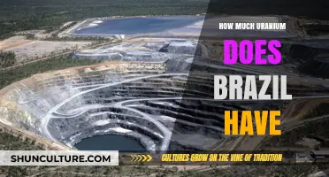 Brazil's Uranium Reserves: Assessing the Nation's Nuclear Resource Potential