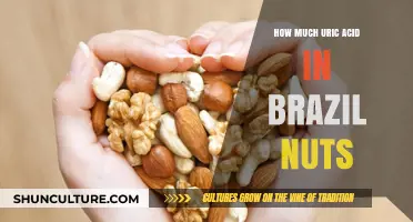 Brazil Nuts and Uric Acid: Understanding Their Nutritional Impact