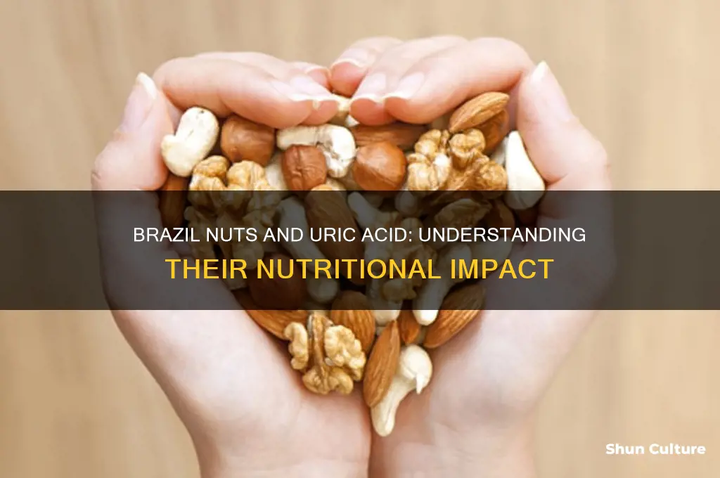 how much uric acid in brazil nuts