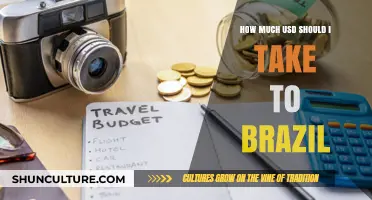 Traveling to Brazil: Smart USD Budget Tips for Your Trip