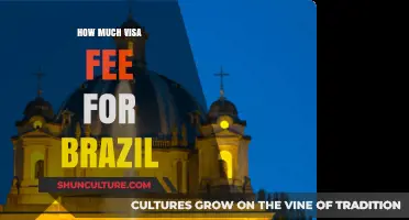 Brazil Visa Fee Guide: Costs and Payment Methods Explained
