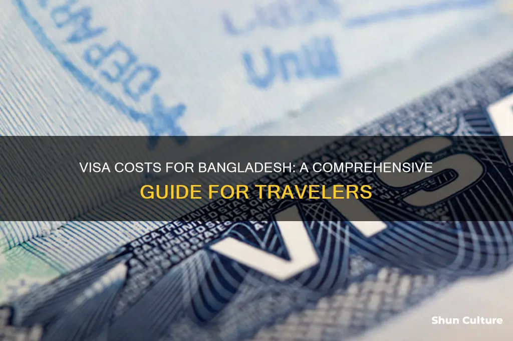 how much visa for bangladesh