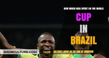 Brazil's World Cup Spending: A Breakdown of the Massive Investment