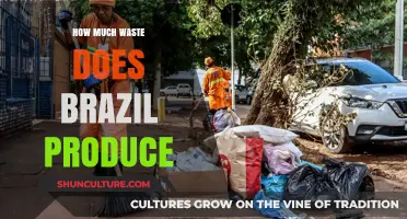 Brazil's Waste Crisis: Understanding the Scale of National Garbage Production
