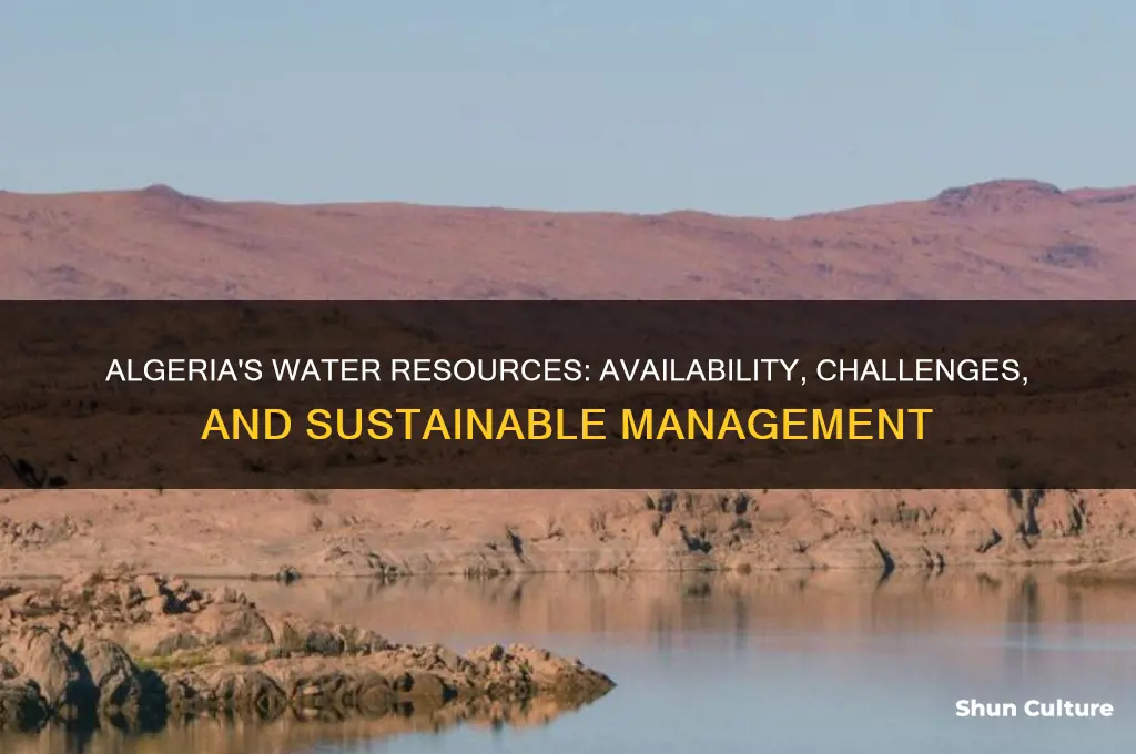 how much water does algeria have