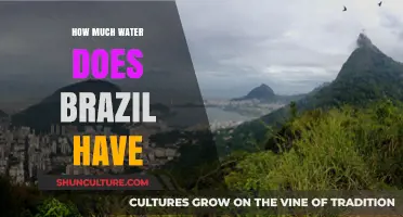 Brazil's Water Wealth: Exploring the Nation's Abundant Aquatic Resources