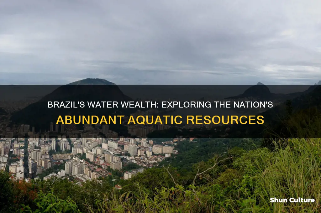 how much water does brazil have