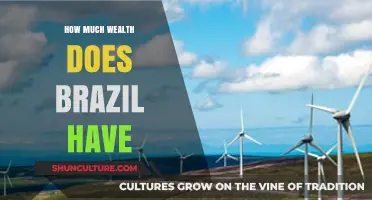 Brazil's Wealth Unveiled: Exploring the Nation's Economic Power and Resources