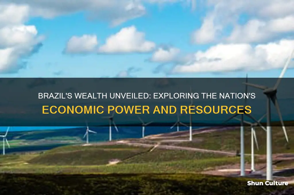how much wealth does brazil have
