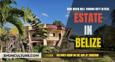 Belize's Real Estate Bargain: A Comfortable Retirement for $200,000