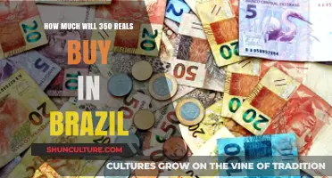 Exploring Brazil: What Can 350 Reals Get You in 2023?