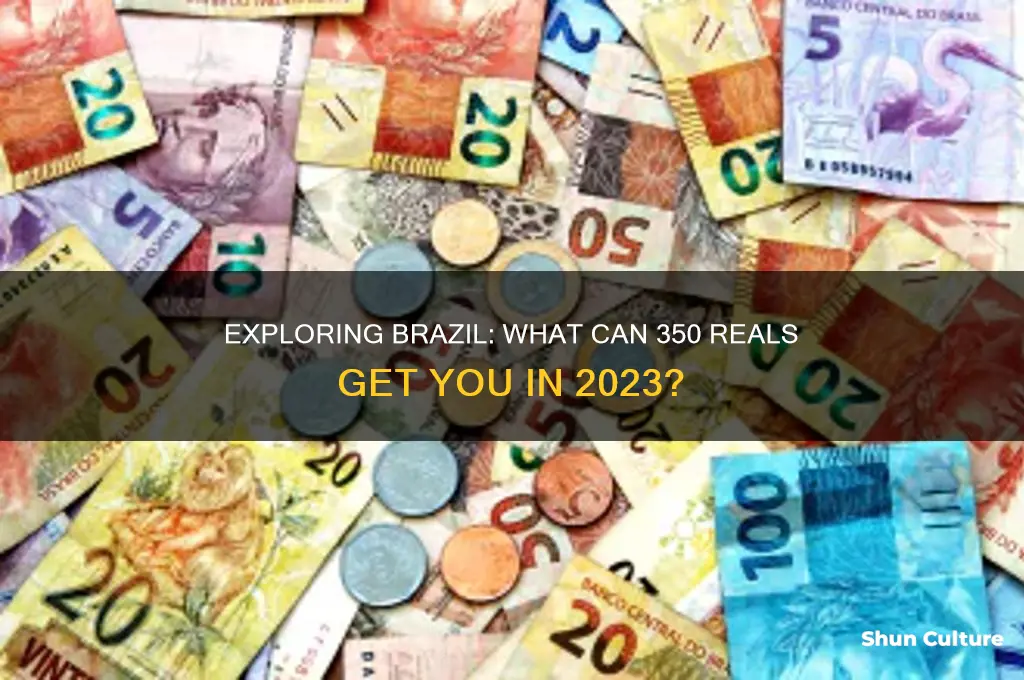 how much will 350 reals buy in brazil