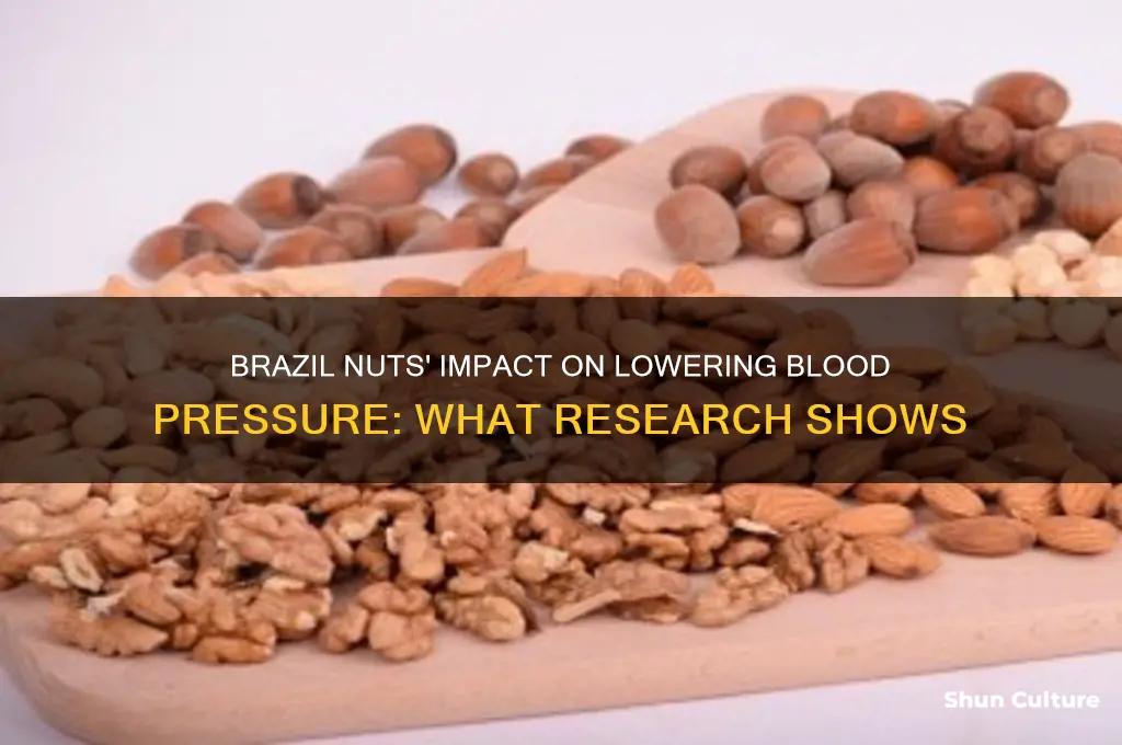 how much will brazil nuts lower your blood pressure