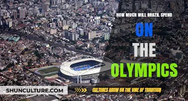 Brazil's Olympic Investment: Unveiling the Cost of Hosting the Games