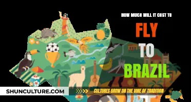 Flying to Brazil: Uncovering the Costs of Your Dream Trip