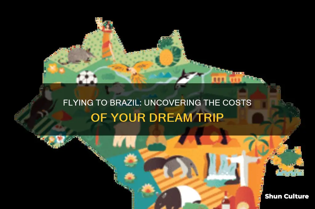 how much will it cost to fly to brazil