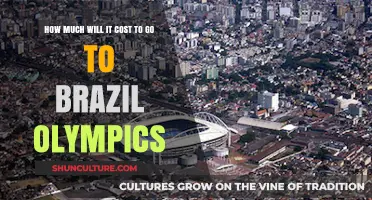 Budgeting Your Trip to the Brazil Olympics: Costs and Tips