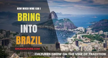 Traveling to Brazil? Here's Your Guide to Bringing Wine In
