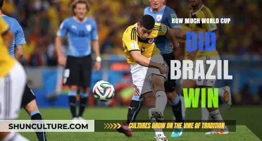Brazil's World Cup Triumphs: A Historic Overview of Their Victories