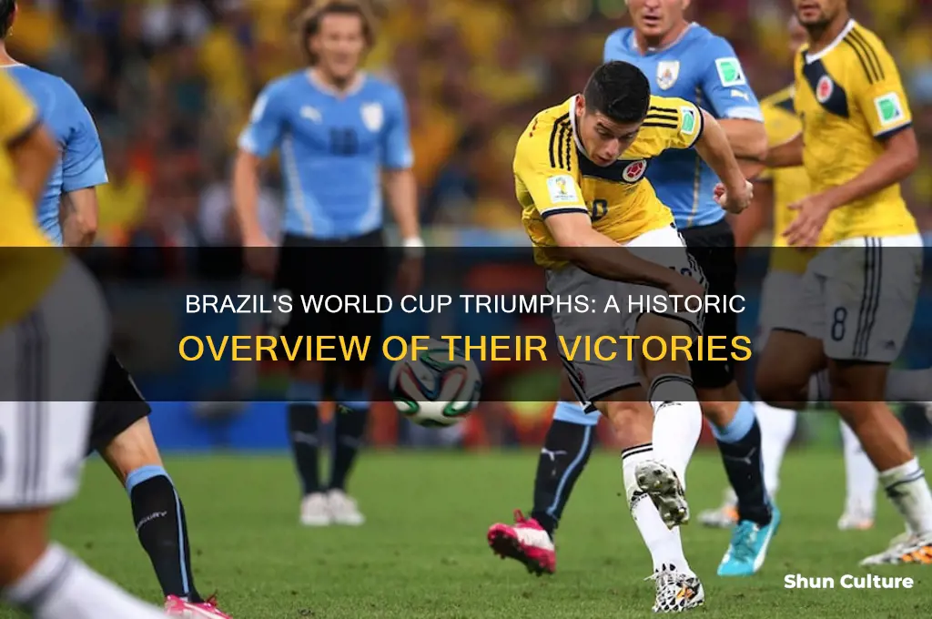 how much world cup did brazil win