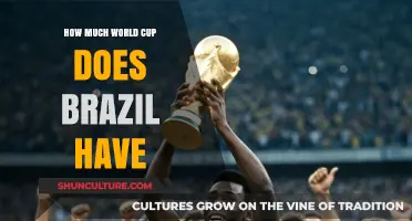 Brazil's World Cup Legacy: How Many Trophies Do They Own?