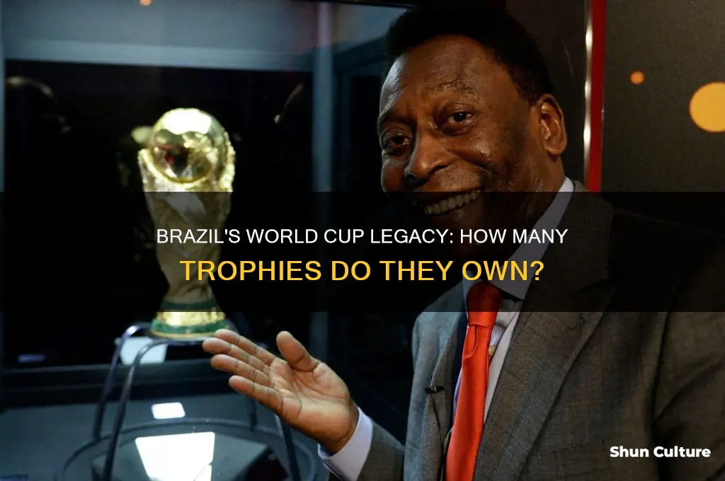 how much world cup does brazil have