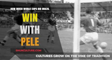 Pele's Legacy: Brazil's World Cup Triumphs with the King