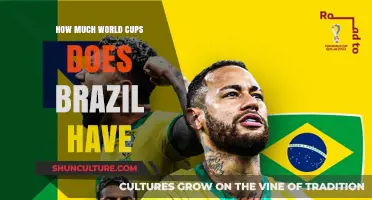 Brazil's World Cup Legacy: A Record-Breaking Five-Time Champion