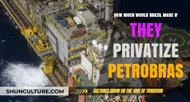 Privatizing Petrobras: Potential Revenue Boost for Brazil's Economy?