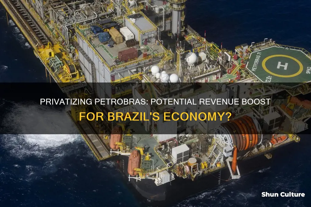 how much would brazil make if they privatize petrobras
