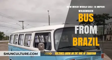 Importing a Volkswagen Bus from Brazil: Cost Breakdown and Tips