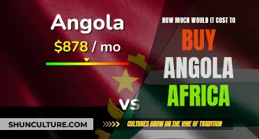 The Ultimate Price of Buying a Country: Angola