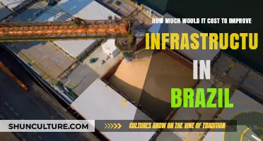 Investing in Brazil's Future: Estimating Infrastructure Improvement Costs