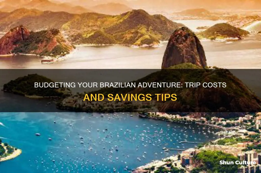 how much you spend in a brazil trip