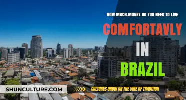 Living Comfortably in Brazil: Essential Budget Guide for Expats