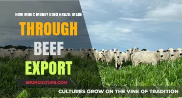 Brazil's Beef Export Earnings: A Comprehensive Financial Overview