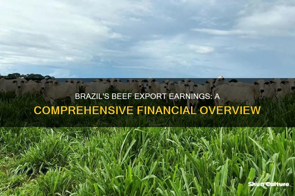 how muhc money does brazil make through beef export