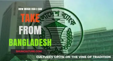 Traveling Abroad? Learn Bangladesh's USD Cash Limit for Travelers