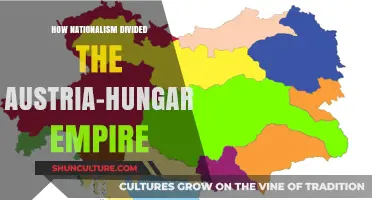 Nationalism's Impact: The Austria-Hungarian Empire's Unraveling