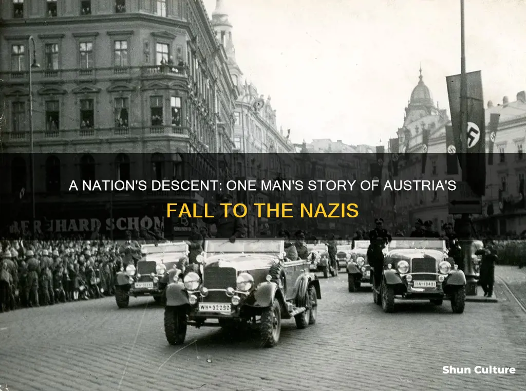 how nazis took over first hand account austria