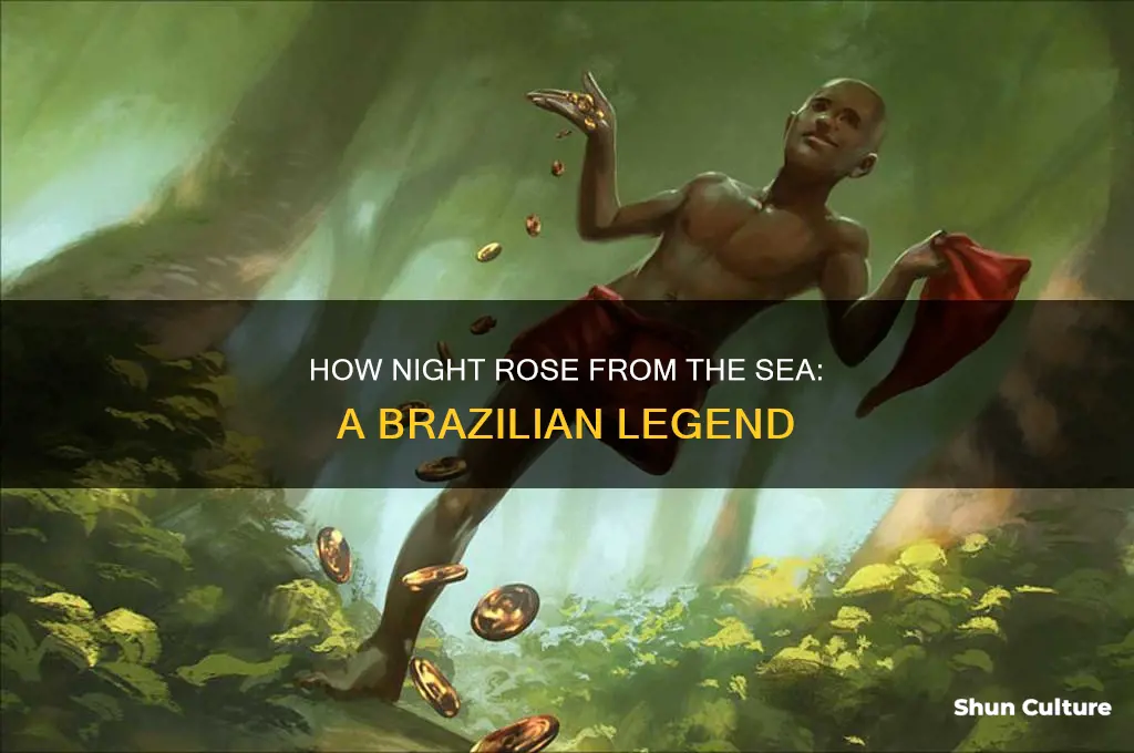 how night came from the sea a story from brazil