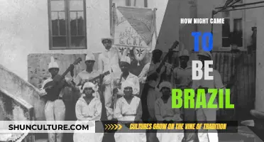 The Mystical Origins of Brazil's Night: A Cultural Tale