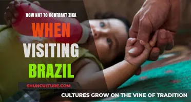 Stay Zika-Free in Brazil: Essential Tips for Safe Travel