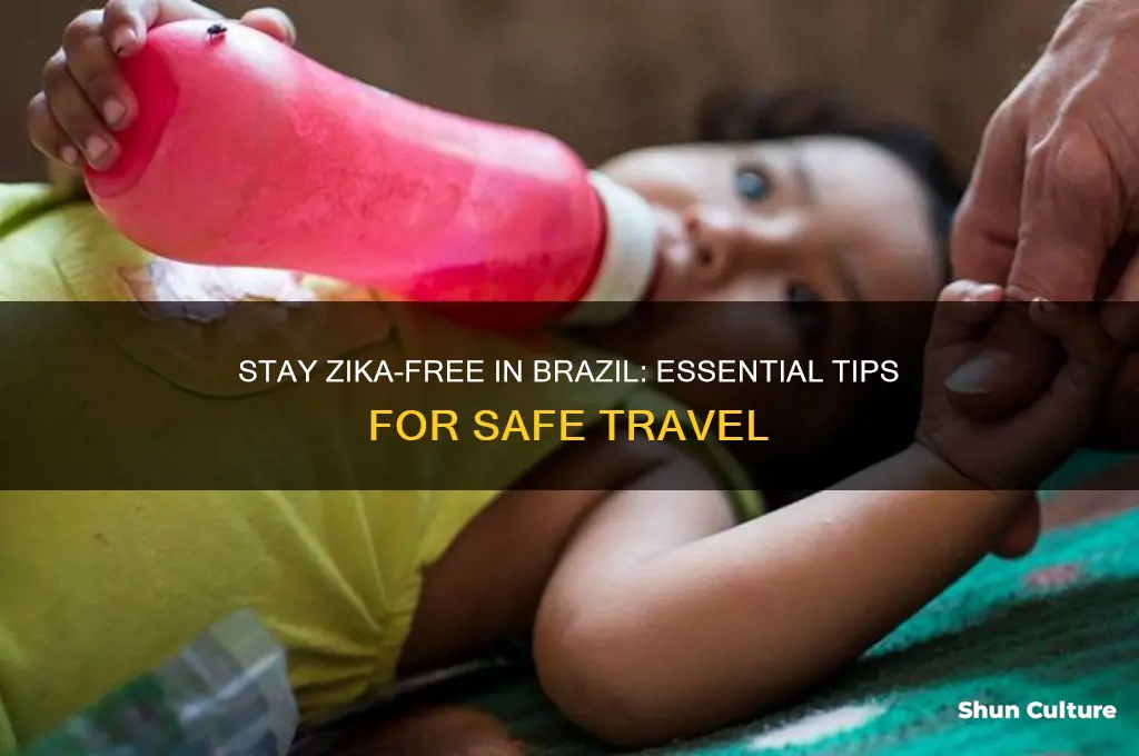 how not to contract zika when visiting brazil