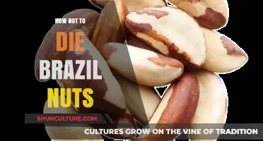 Brazil Nuts: Smart Ways to Avoid Deadly Mistakes and Stay Safe