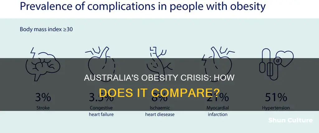 how obese is australia compared to other countries