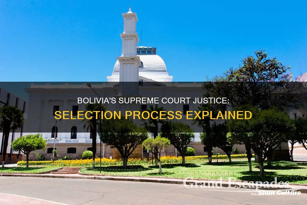 how odes bolivia choose thier supereme court justice